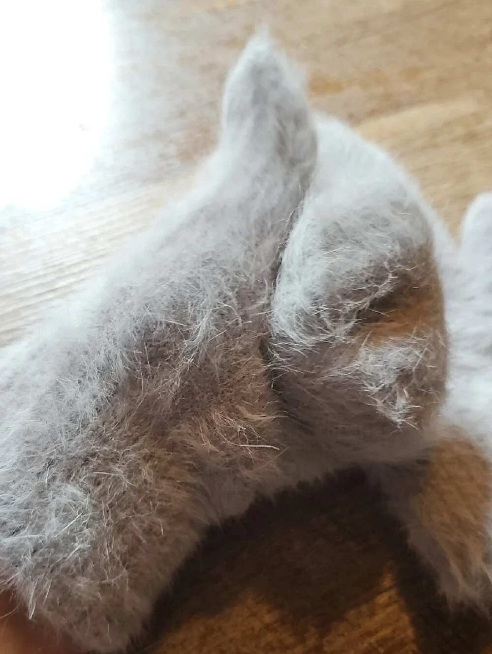 Cozy Fuzzy Mittens